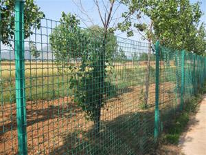 供应呼伦贝尔市果园用围栏铁丝防护网