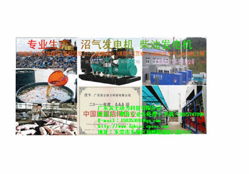 广东双燃料发电机广东双燃料发电机组生产销售