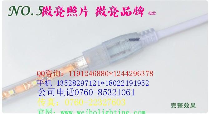 供应庭院景观树led彩色灯条安装方式/微亮照明led软灯条安装指南