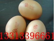 供应北京北京鸡蛋喷码机小型多少钱一台