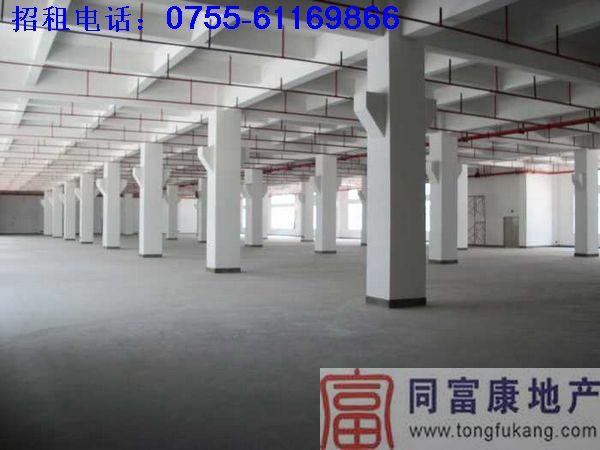深圳市光明厂房出租1楼2000平方米