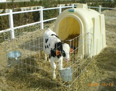 养牛设备粪污处理设备饮水器设备牛体刷犊牛饲喂设备专卖