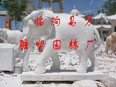 供应山东大理石大象雕塑/大理石大象石雕厂/大理石大象石雕推销部图片