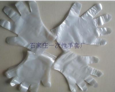 佳木斯批发PE手套-塑料卫生手套