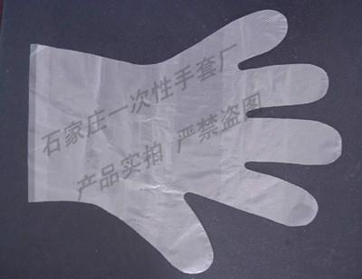 供应M塑料手套一次性塑料手套报价