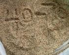 供应干拌砂浆用河沙   水洗砂  分目砂图片