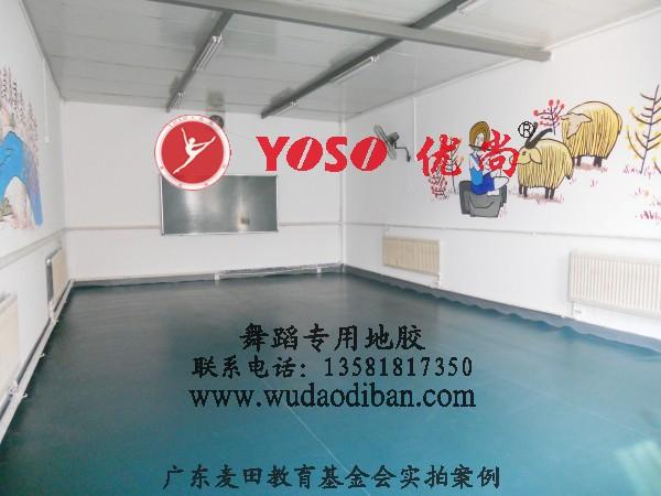 浙江舞蹈塑胶地板厂家直销 杭州哪有卖舞蹈地板 舞蹈把杆的