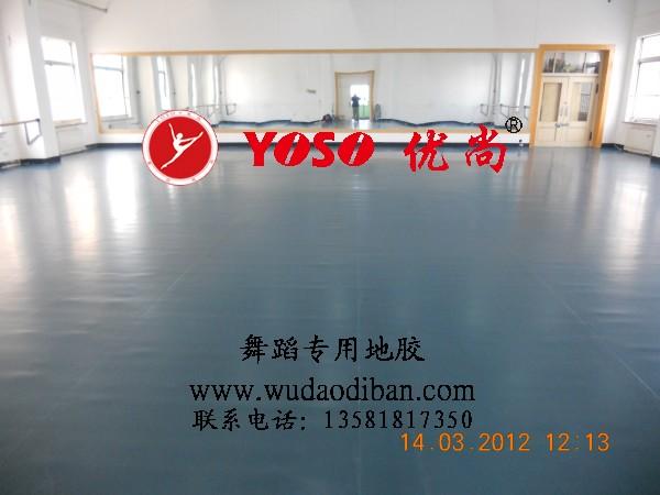 天津哪有卖舞蹈地板的 塑胶舞蹈地板 舞蹈教室地板厂家直销