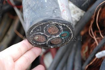 上海市上海电缆线回收苏州电缆线回收价格厂家上海电缆线回收苏州电缆线回收价格