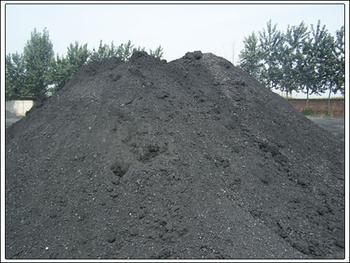 供应低价原煤电煤烘干煤泥粉精洗煤粉
