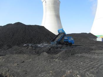 供应烘干煤泥粉原煤电煤厂家价格批发