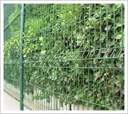 建筑物围栏 双边丝围墙网 地暖电焊网片 涂塑荷兰网