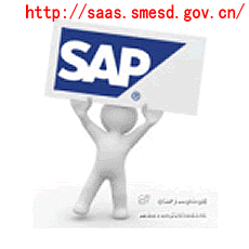 供应SAPBusinessOne管理系统：中小企业专业的电子商务软件图片