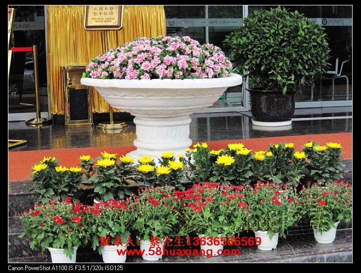 上海花卉租赁哪家好植物租赁公司