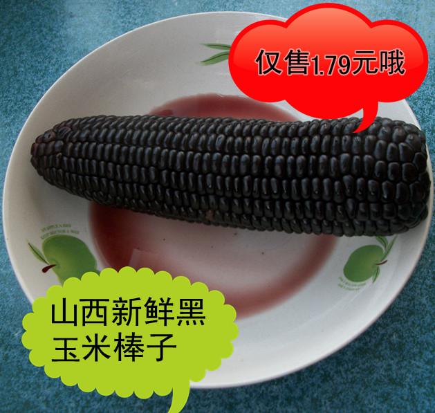 供应山西特产黑玉米紫诺甜玉米棒子新鲜图片