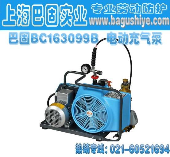 供应巴固BC163099B电动充气泵