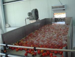 供应番茄酱生产线果汁饮料生产线