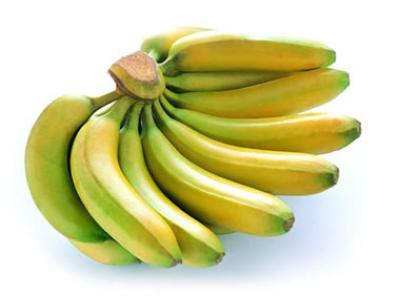 供应芭蕉苗 香蕉苗 粉蕉苗 巴西蕉苗 皇帝蕉苗 芭蕉苗香蕉苗粉蕉苗