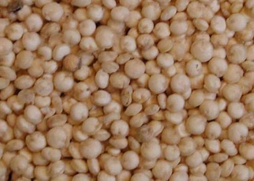 供应藜麦-藜麦价格-藜麦营养成分