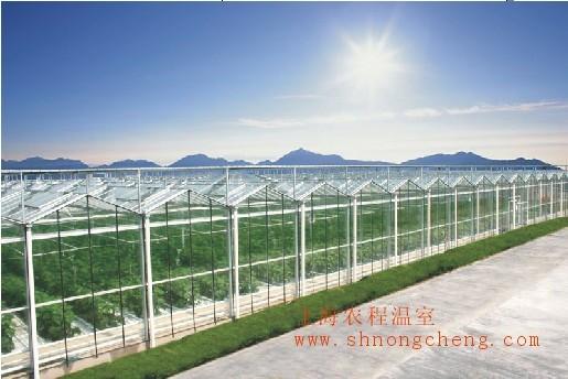 上海市玻璃温室玻璃大棚智能温室厂家供应玻璃温室玻璃大棚智能温室，玻璃大棚智能温室厂家，玻璃大棚价格