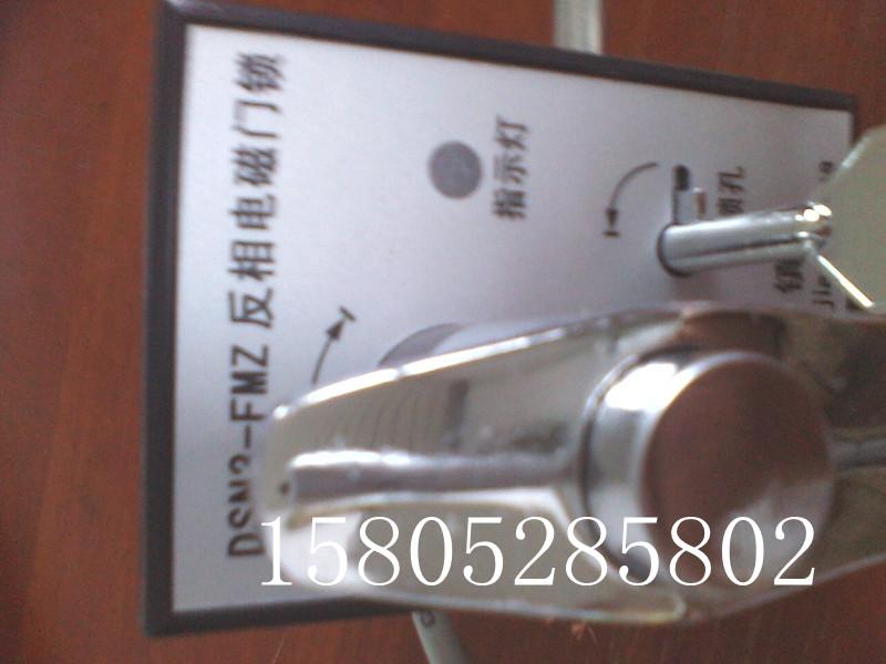 DSN-MZ（Y）户内电磁锁图片
