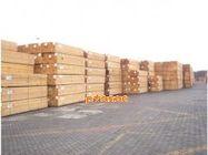 供应木材进口“环节”需要什么报关单证