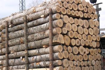 哪些木材进口到中国批发