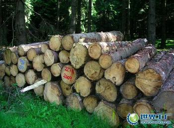 木材进口收货人备案代理 代理进口木材清关