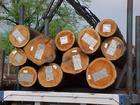 进口巴西木材到中国需要办理的单证批发