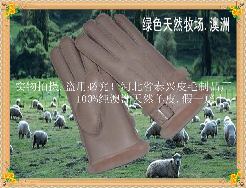 本厂定做供应各种真皮毛一体优质羊皮环保时尚超保暖成人男女款手套
