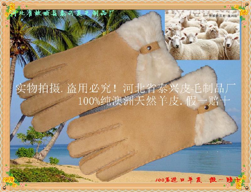 本厂长期订做皮毛一体纯真羊皮2013新款手套