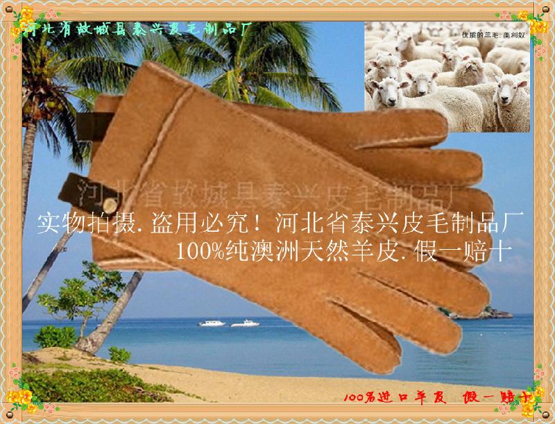 本厂长期订做供应新款UGG皮毛一体羊皮环保时尚超保暖成人手套
