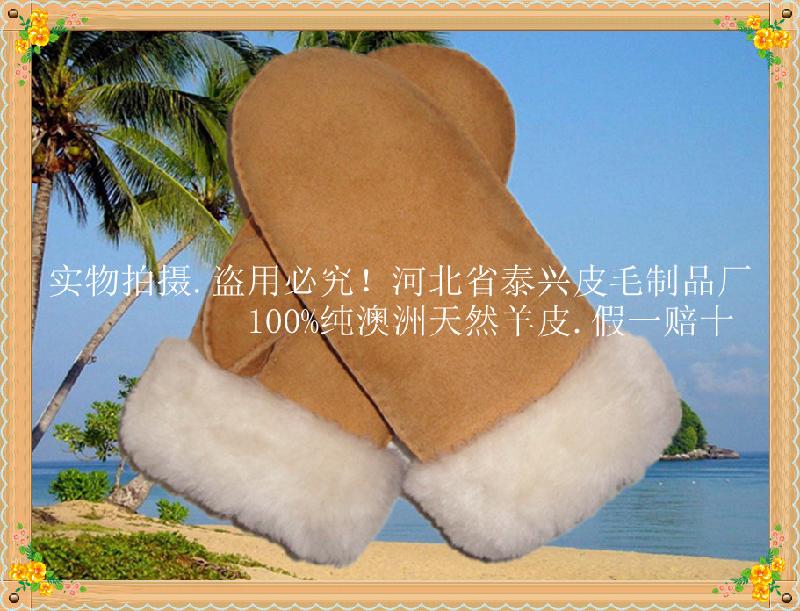 本厂长期订做供应新款UGG皮毛一体羊皮环保时尚超保暖成人手套