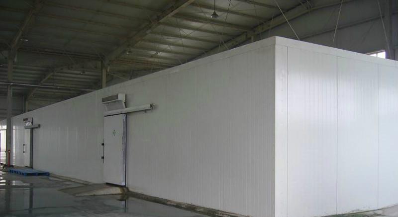 供应专业冷库设计安装疏菜水果保鲜库、蔬菜冷库安装、