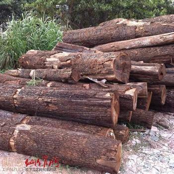 木材进口报关公司/木材进口清关代理/木材进口报关公司