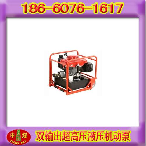 供应双输出超高压液压机动泵价格图片