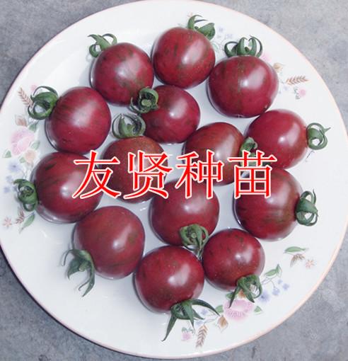 樱桃番茄种子-黑花批发