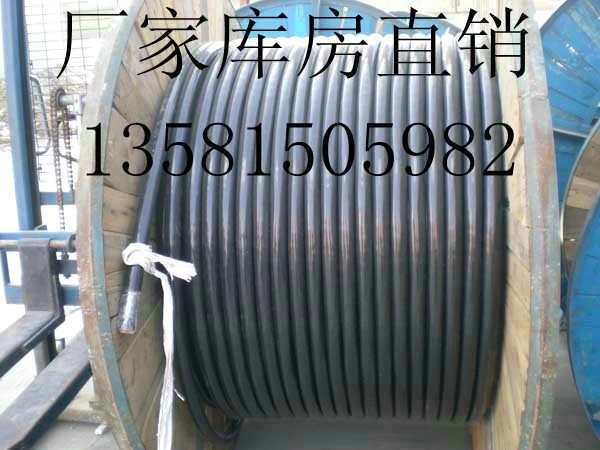 北京市10平方电线10平方电缆厂家