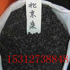 供应栾树种子北京栾树种子黄山栾树种子价格图片