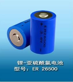 供应ER26500带线电池，记忆电源专用电池 ER26500锂亚电池