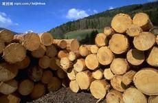花梨木木材进口报关申报价格在什么范围？