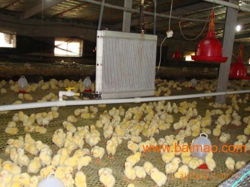 供应鸡棚供暖设备规格型号