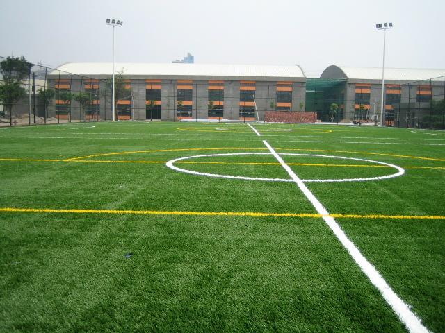 深圳市足球场材料人造草足球场厂家供应足球场材料人造草足球场