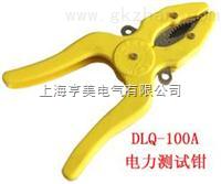 供应DLQ-100A电力测试钳