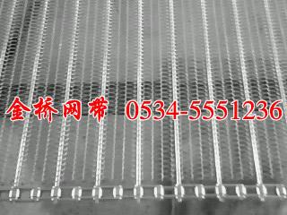 供应组合式清洗机网带 不锈钢清洗机输送网带生产厂家销售