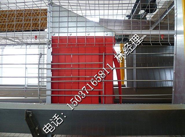 供应金凤鸡笼厂出售层叠式阶梯式鸡笼图片