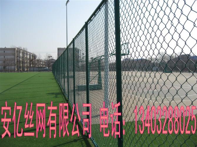 供应体育场勾花护栏网  镀锌勾花护栏网 球场围网