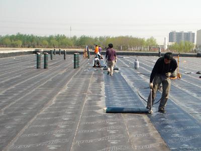 供应防水工程，北京专业防水补漏