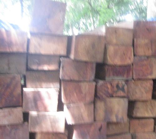 上海进口木材通关公司