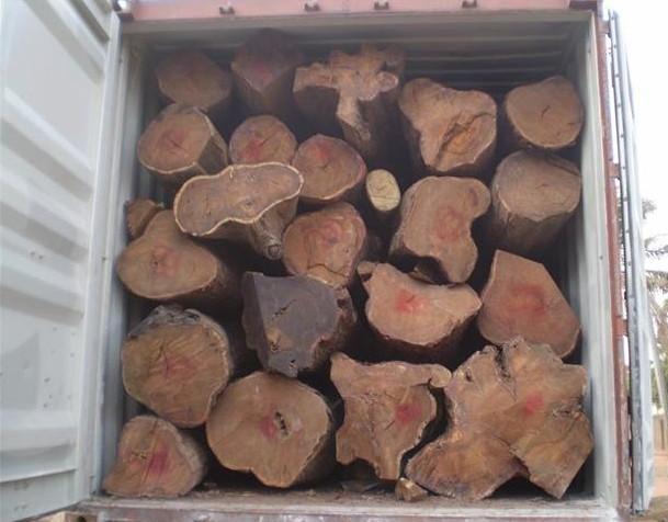 上海进口木材备案费用有哪些